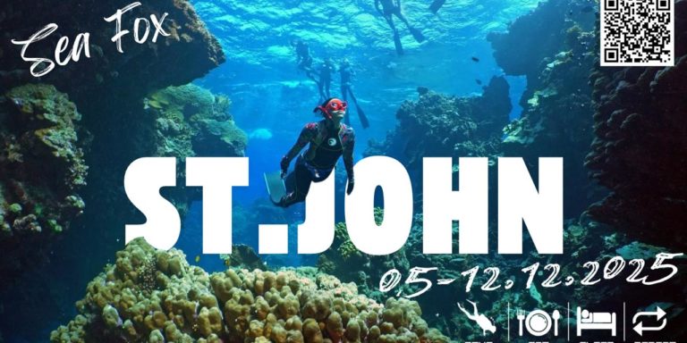 St.John 5.12